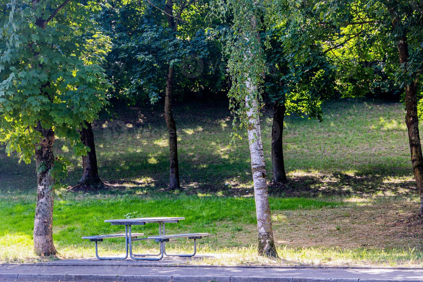 verano paisaje picnic banco entre el arboles en el parque en un soleado día foto