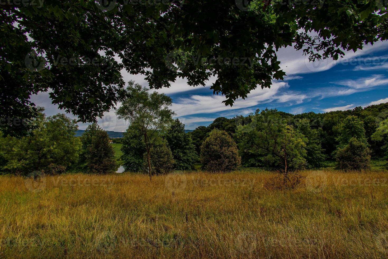 verano paisaje con verde árboles, prado, campos y cielo con blanco nubes foto