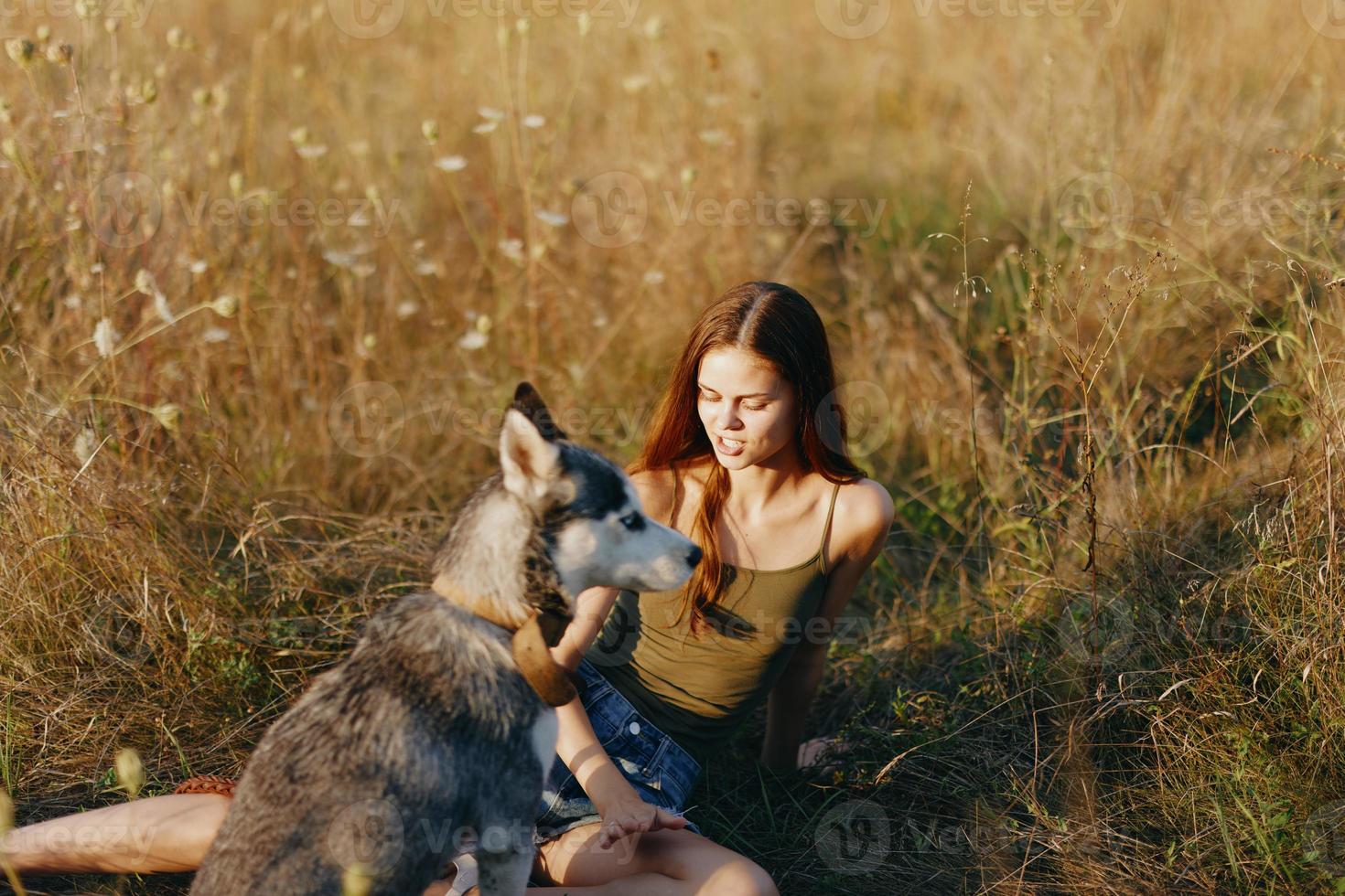 mujer sentado en campo con perro tejonero perro sonriente mientras gasto hora al aire libre con perro amigo foto