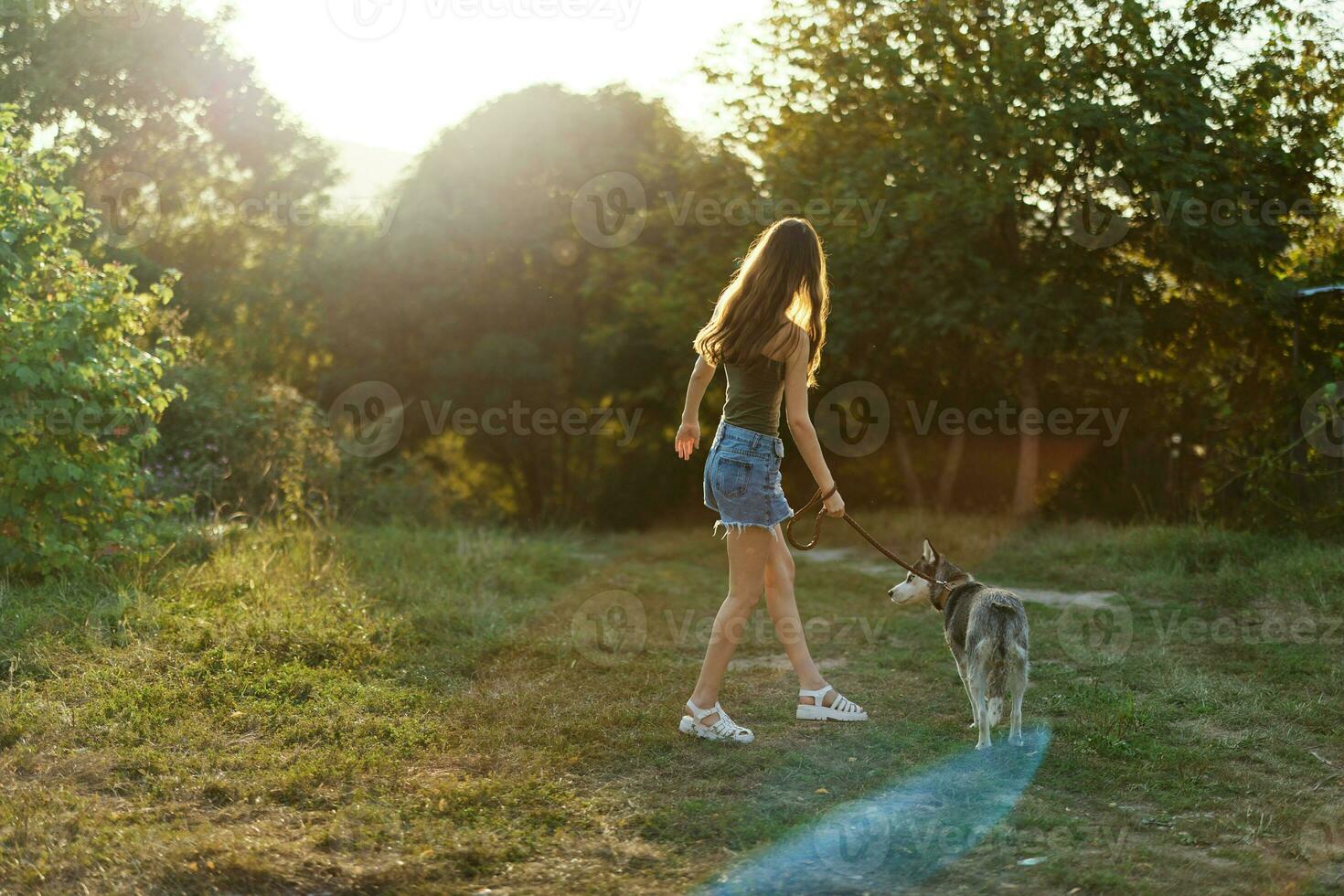 un mujer carreras su espalda a el cámara con un perro en el bosque durante un noche caminar en el bosque a puesta de sol en otoño. estilo de vida Deportes formación con tu amado perro foto