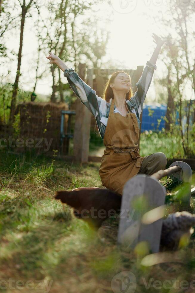 A woman sits in the bird pen and feeds the chickens organic healthy fresh food for the safety and health of the birds on the farm on a sunny summer day at sunset photo