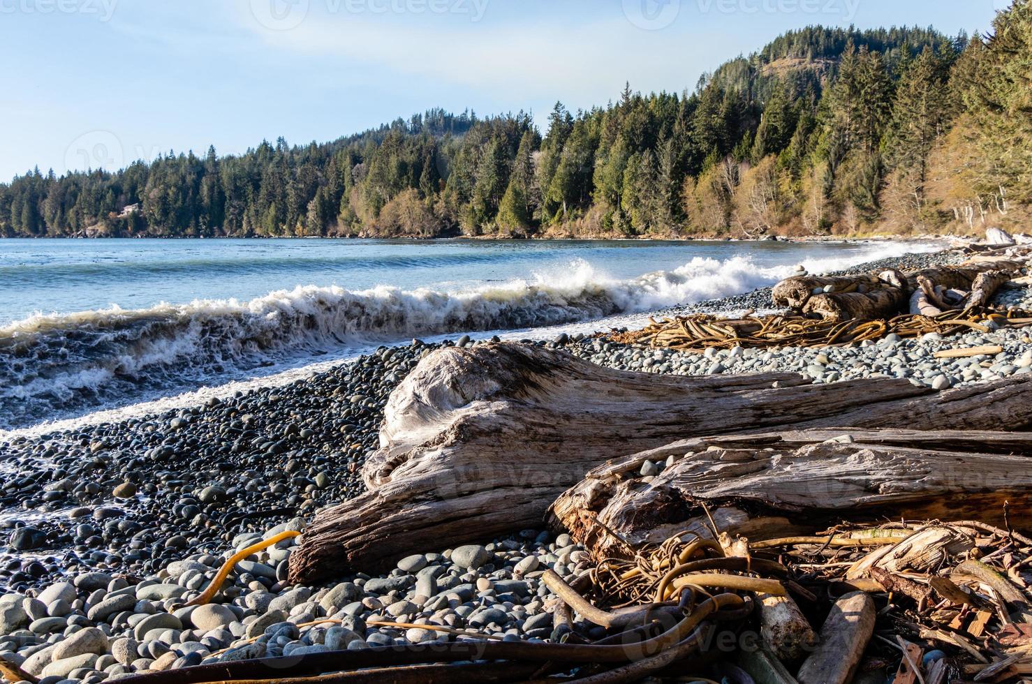 Large driftwood log and rocks on the coast with large waves breaking on the coast of the Pacific Ocean on Vancouver Island photo