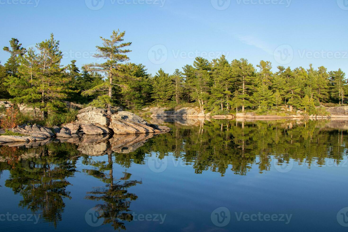 Pinetree reflecting in the water along the rocky shore of Franklin Island on Georgian Bay on a calm summer day photo