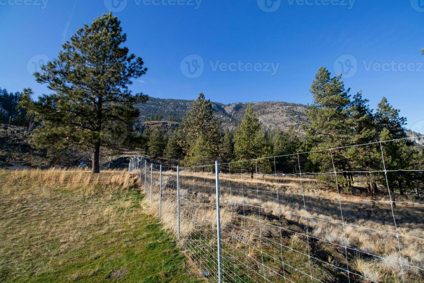 A fence in mountain park on a sunny autumn day photo