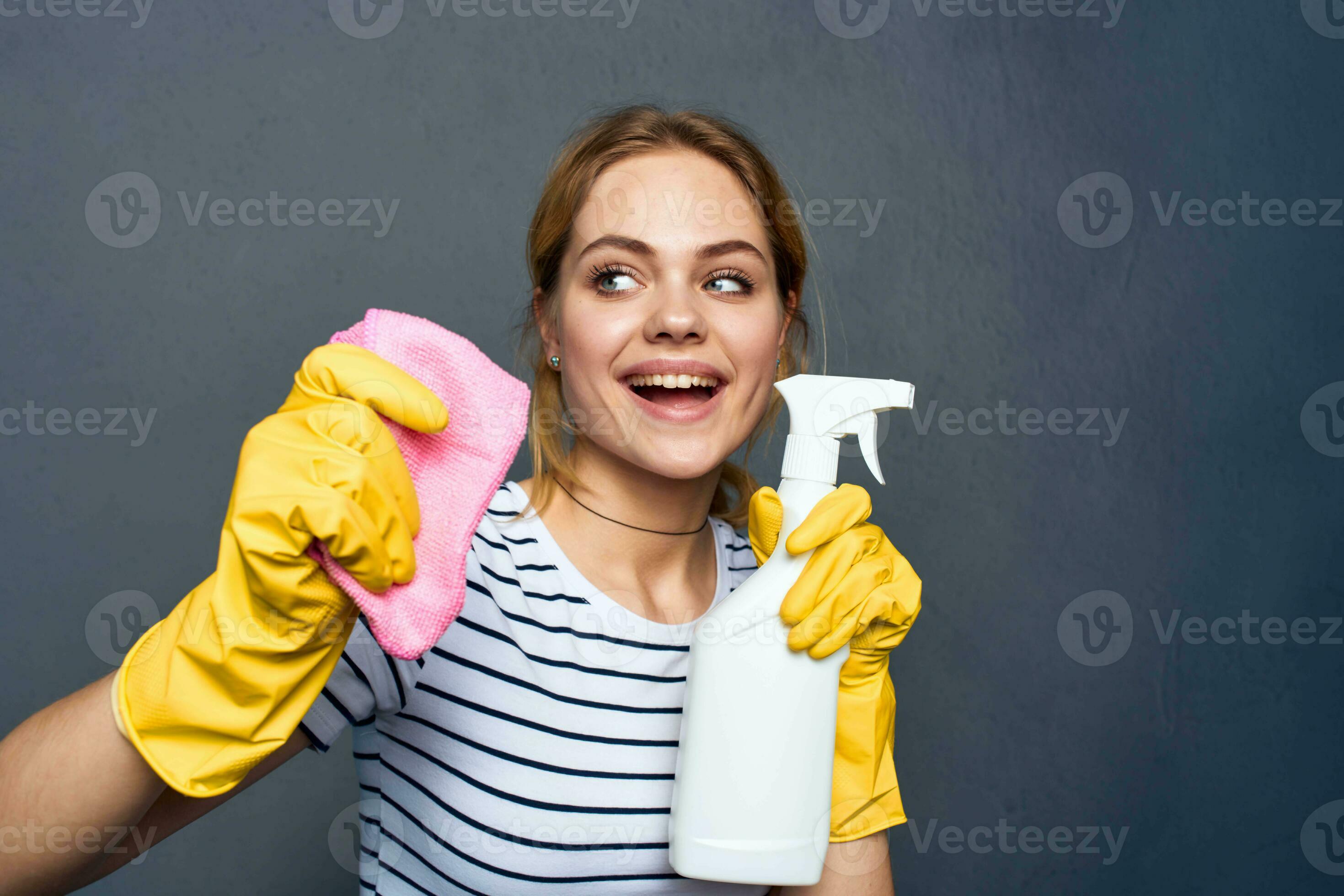 Cleaning lady with detergent rag in hand home care interior service