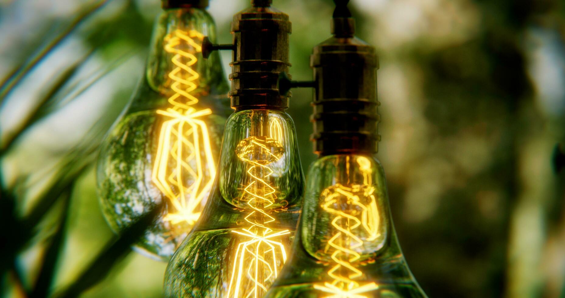 3d design render of trees with lights photo
