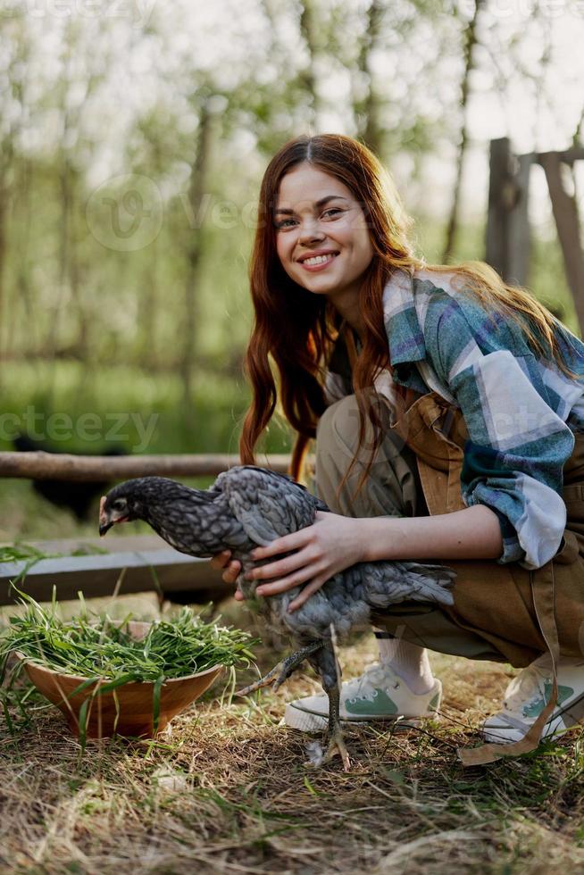 Woman smiles looking at the chicken she holds near the feeder in her hands on the farm, farm labor for raising healthy birds and feeding them organic food in nature photo