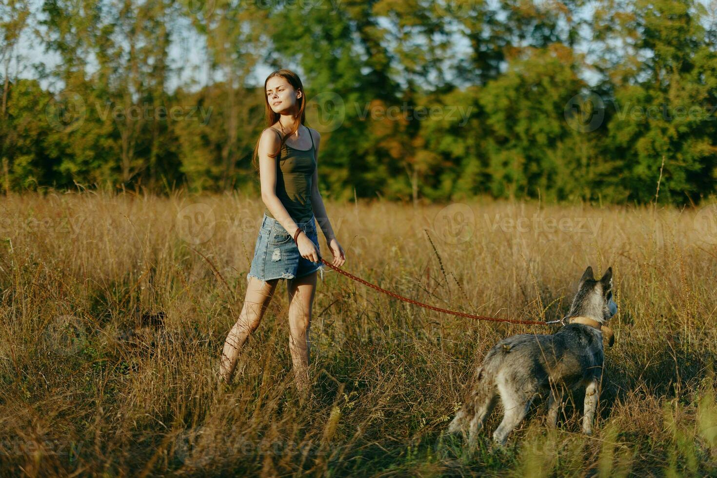 Woman and her husky dog happily walking and running in the grass in the field smile with teeth autumn sunset walk with a pet, traveling with a friend dog happiness photo