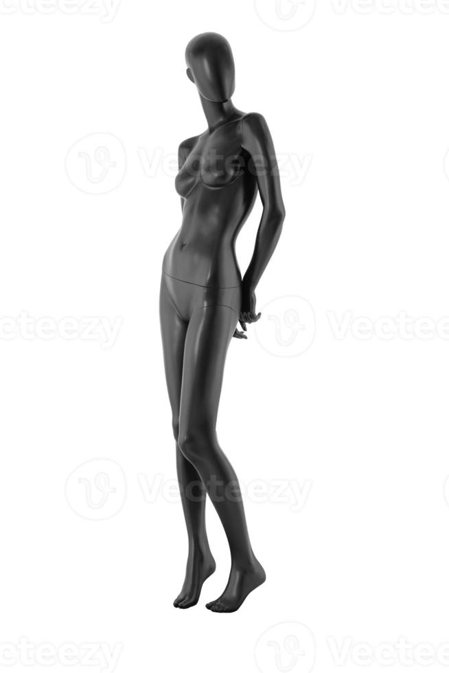 Gloss color mannequin woman isolated photo