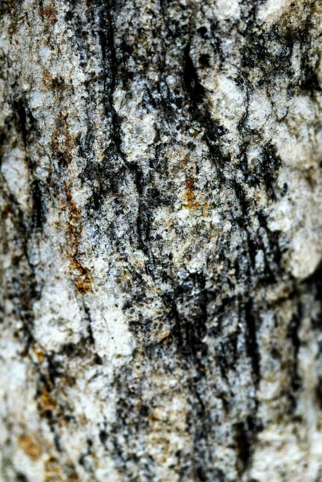 Rock texture mable background photo
