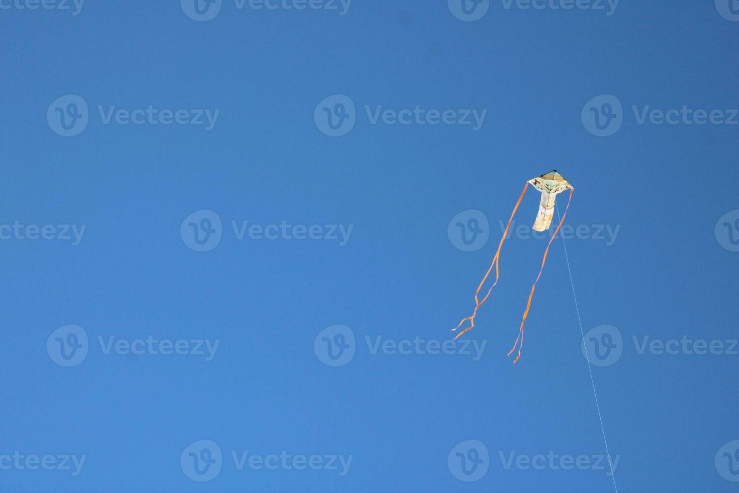 Kite flying in the beach sky photo