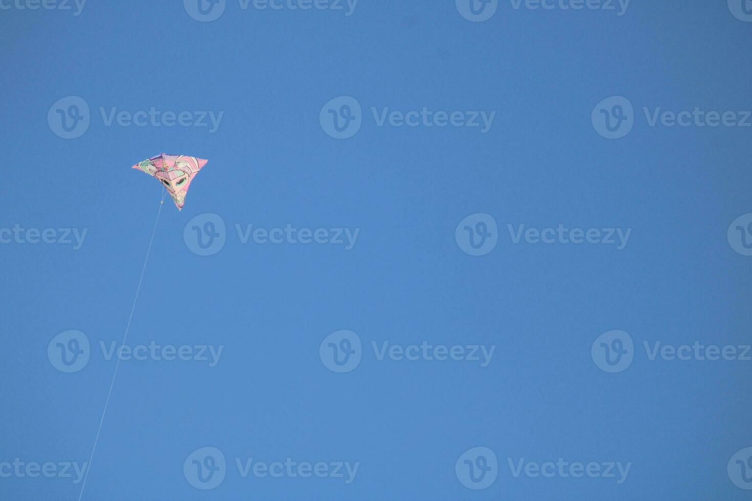 Kite flying in the beach sky photo