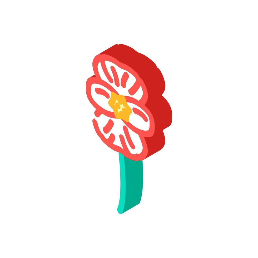 begonia flor primavera isométrica icono vector ilustración