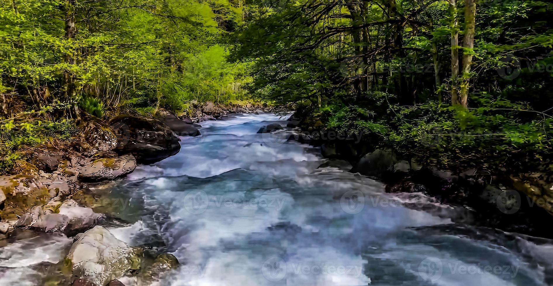 increíble naturaleza fondo de pantalla foto