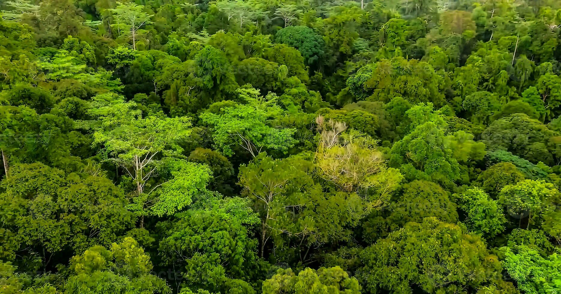 increíble naturaleza fondo de pantalla foto