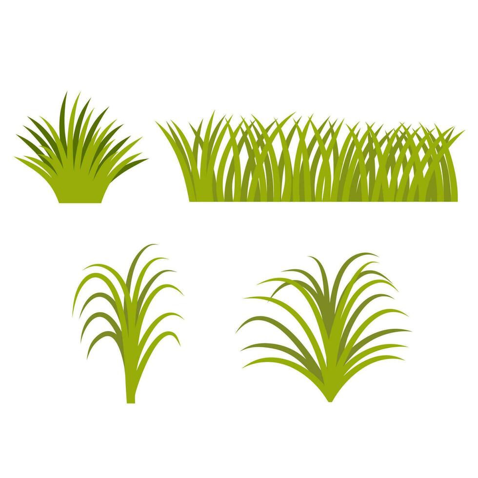 Set Of Grass Flat Illustration vector