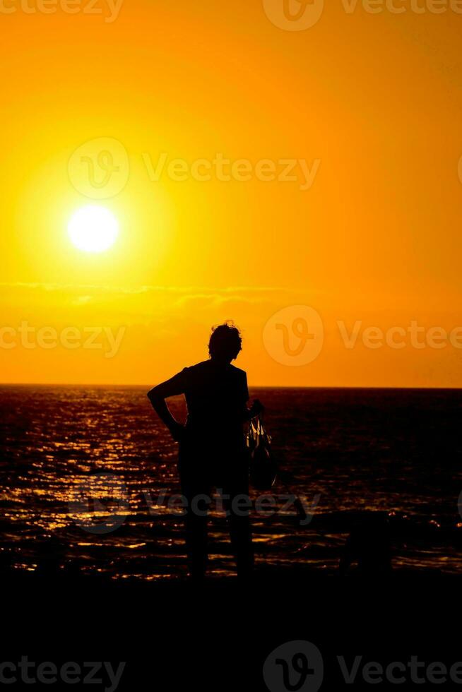 Beautiful sunset view photo
