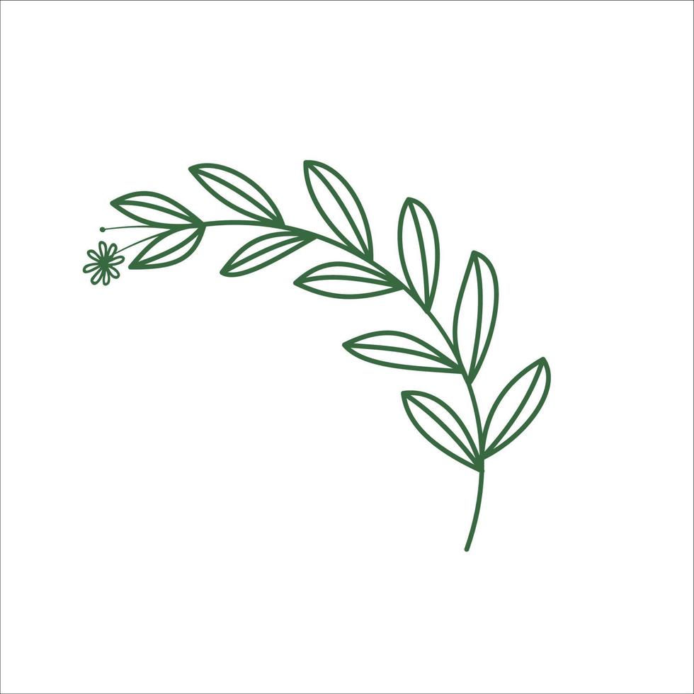 Flower leaf wreath vector decoration element logo icon isolated