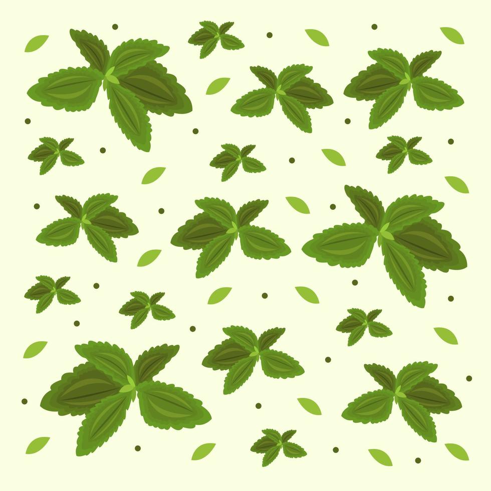 Stevia vector illustration for graphic design and decorative element