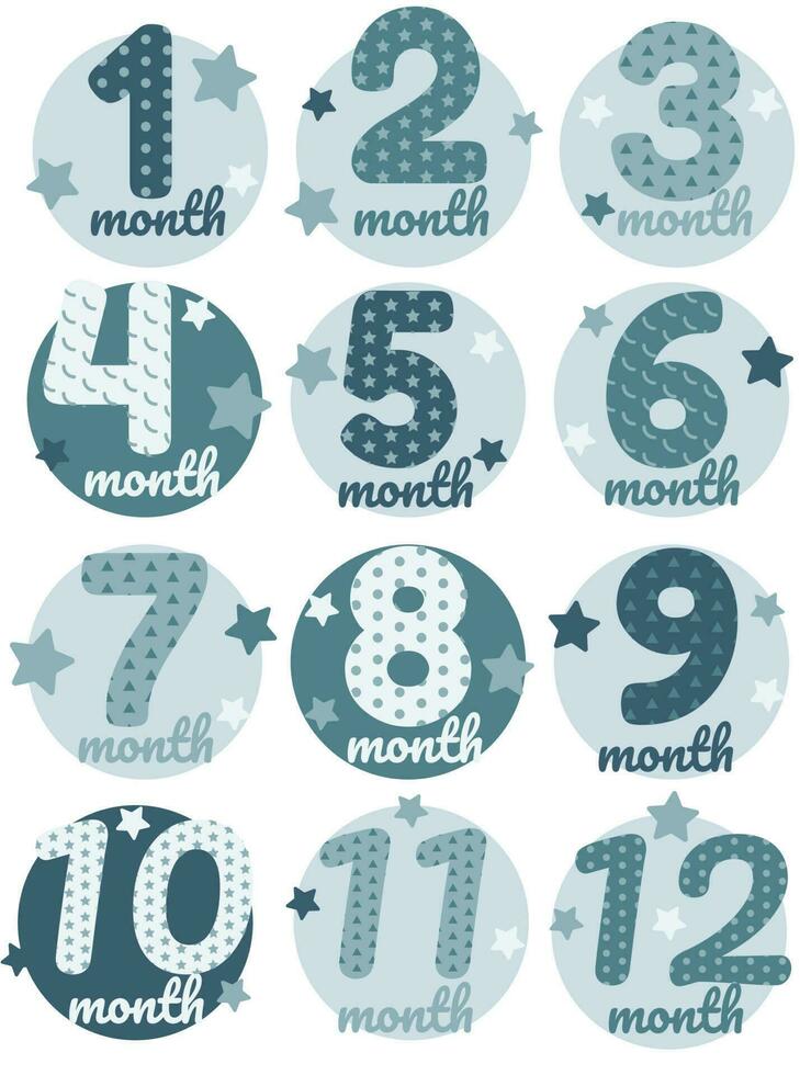 Vector numbers 1 to 12 months for newborn boy