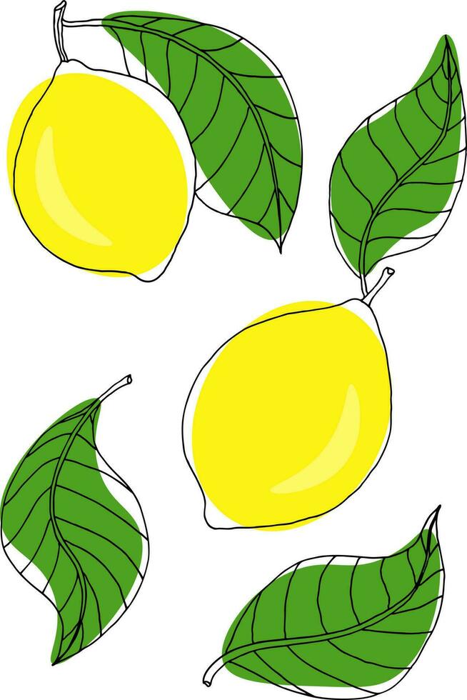 Set with bright lemons with green leaves in a doodle style vector