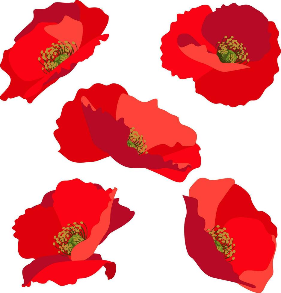 Set of flat style red poppy flower heads for design template isolated on white background vector