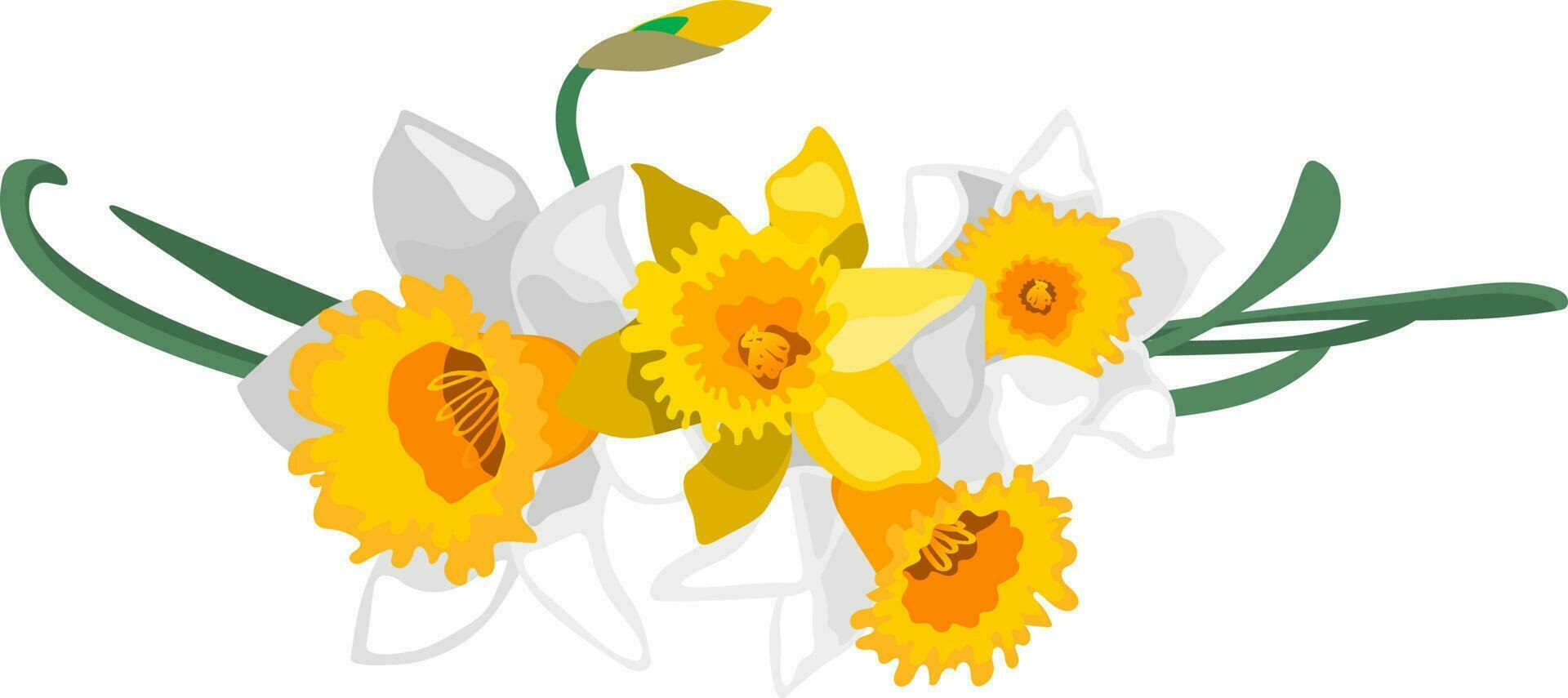 blanco y amarillo narciso flor arreglo para diseño modelo aislado en blanco antecedentes vector