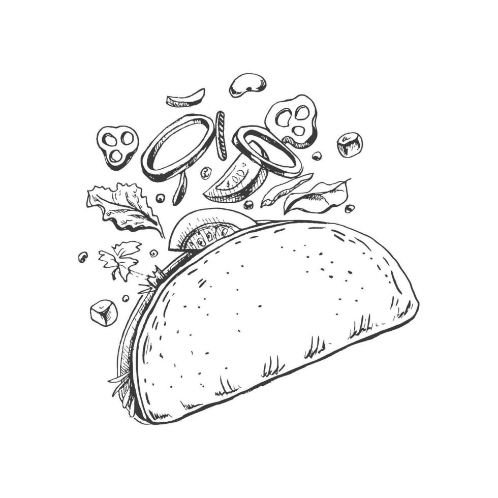 dibujado a mano bosquejo de taco en blanco antecedentes. volador ingredientes. cebolla anillos, tomate, pepino, frijoles, tortilla. rápido comida Clásico ilustración. vector