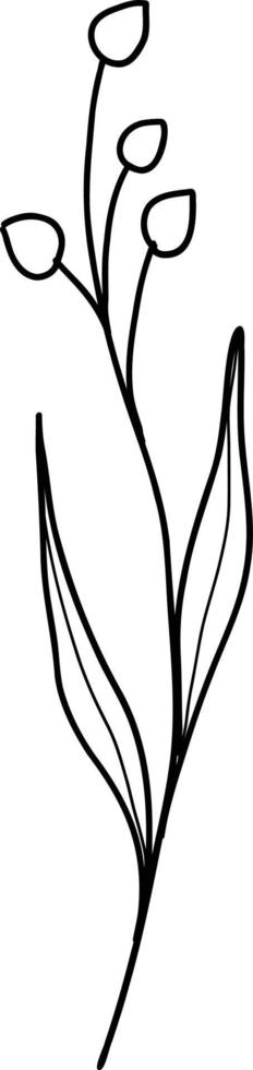 Summer meadow line art wildflowers, herbs and stems. Flowers and leaves. vector