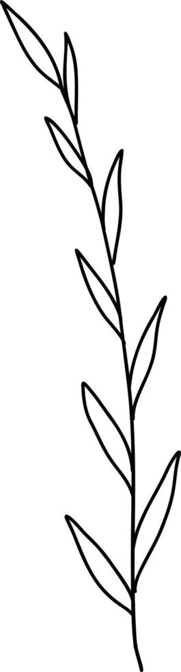 Summer meadow line art wildflowers, herbs and stems. Flowers and leaves. vector