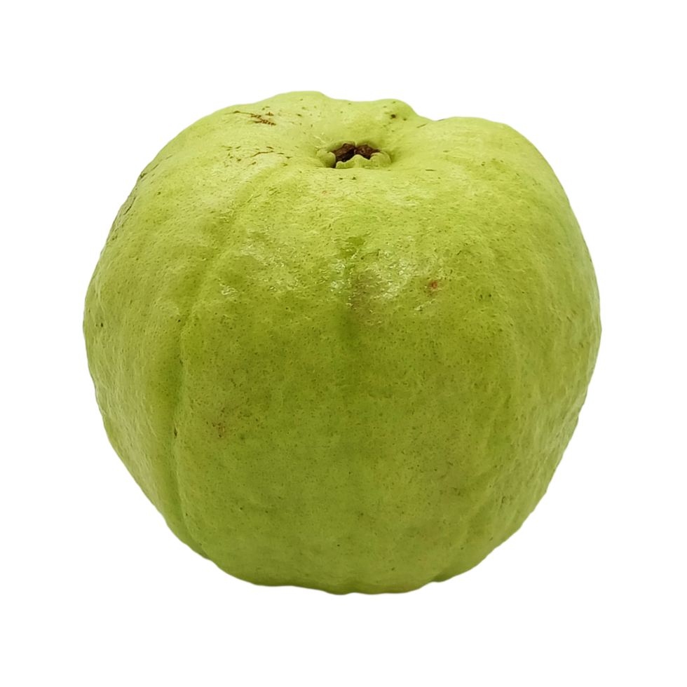 Guava Fruit PNG