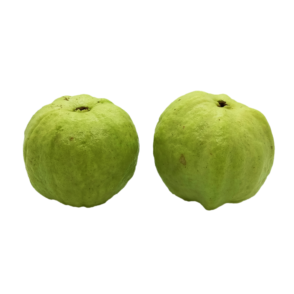 Guava Fruit PNG