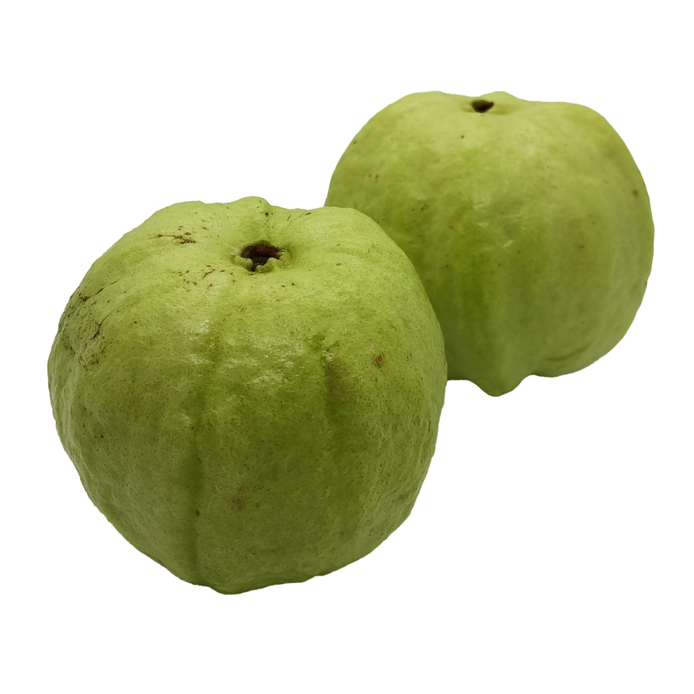 Guava Fruit PNG 22534600 PNG