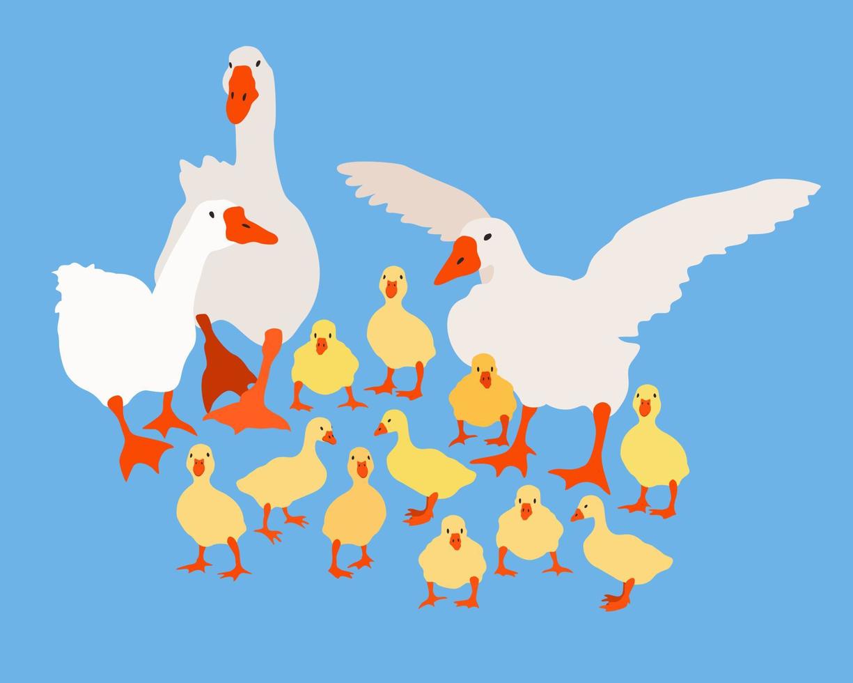 Vector bright illustration with geese and goslings on blue background.