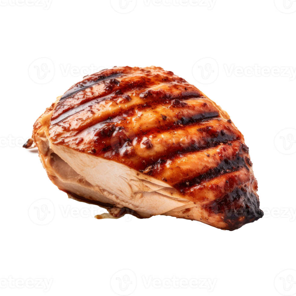 Tasty Turkey isolated png