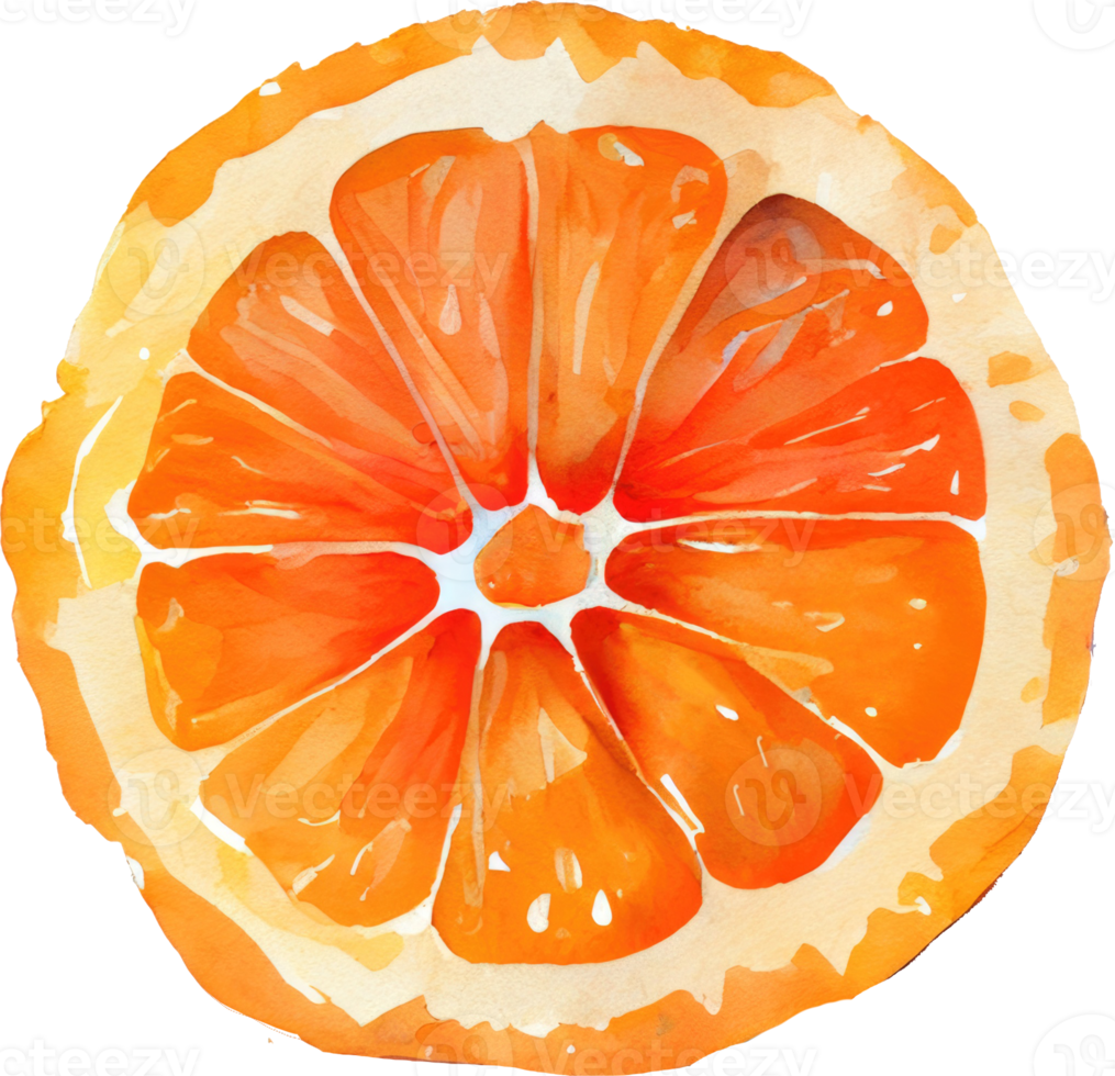 Free Orange Slice Watercolor Illustration 22536810 PNG with Transparent
