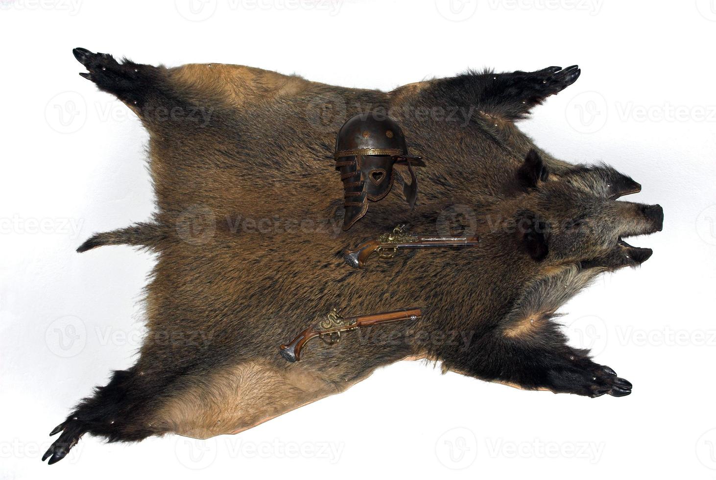 boar skin on a white background with antique guns and a helmet photo