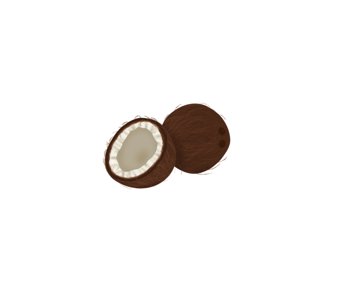 realistic drawing whole and half coconut png