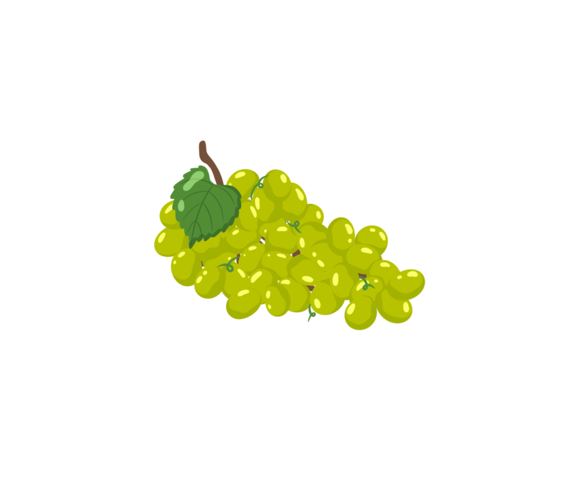 a bunch of grapes with oval green berries png