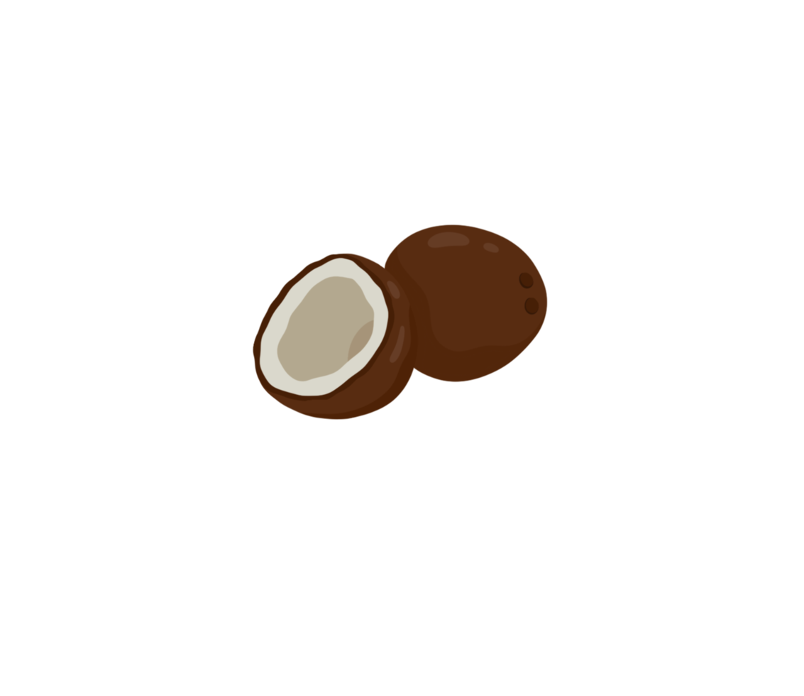 whole and half coconut png