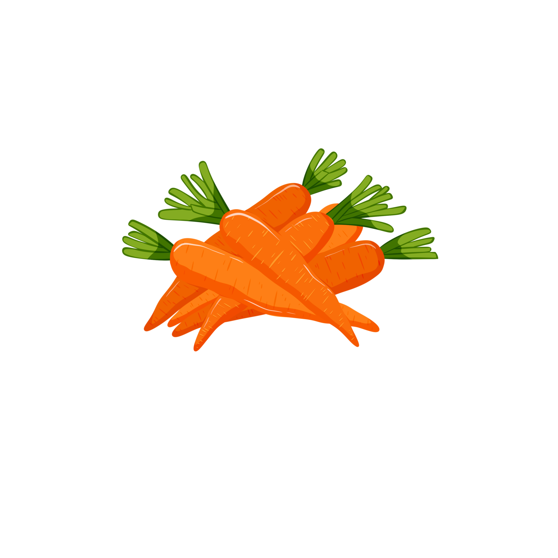 baby carrot with leaves 22538492 PNG