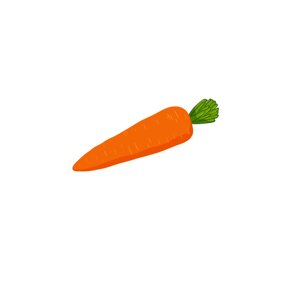 Carrot vegetable with leaves png