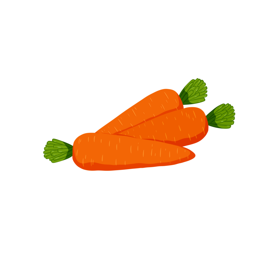 Orange carrot with leaves png
