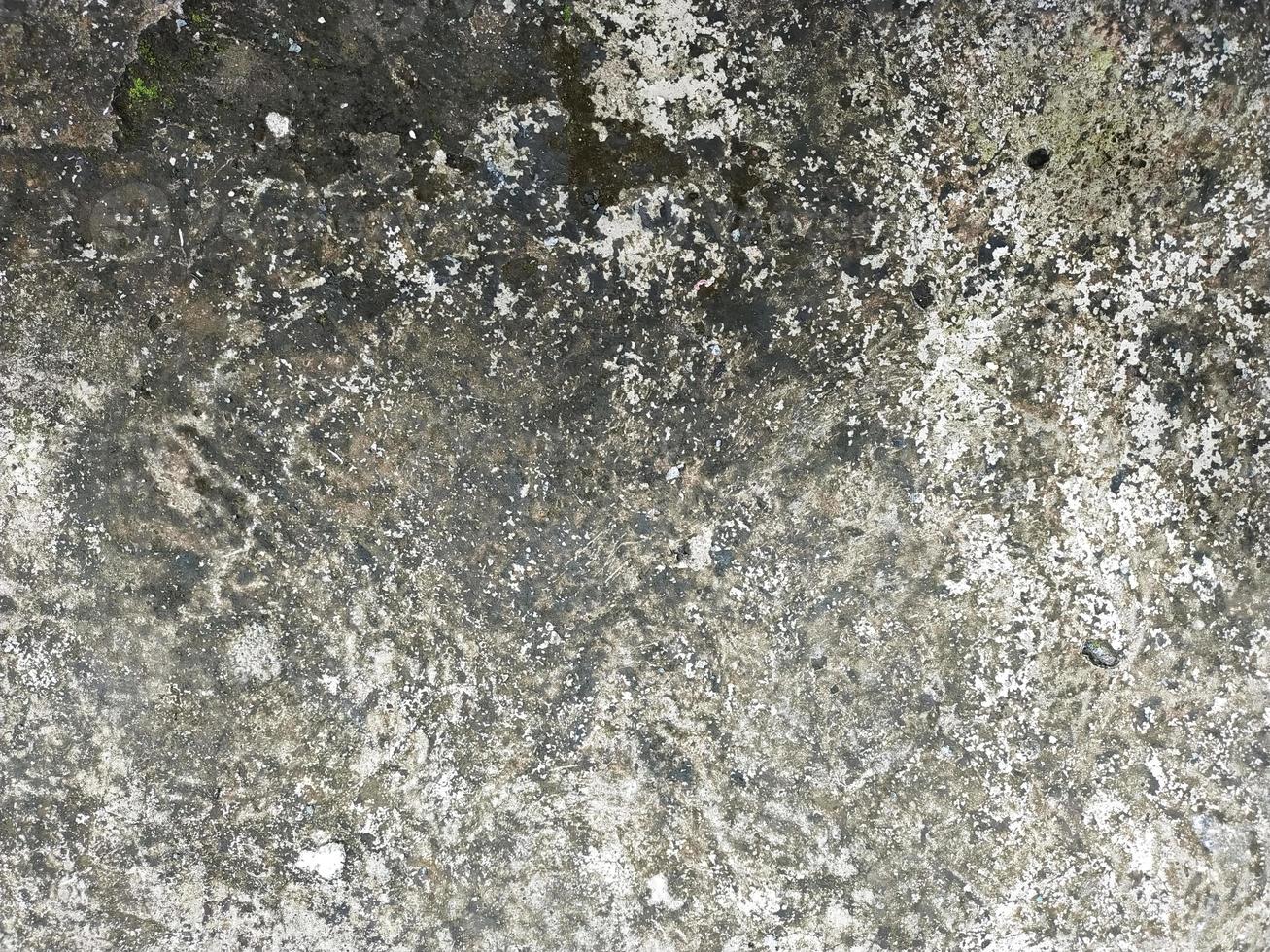 Old grunge crack grey concrete or cement wall texture background with dry moss photo