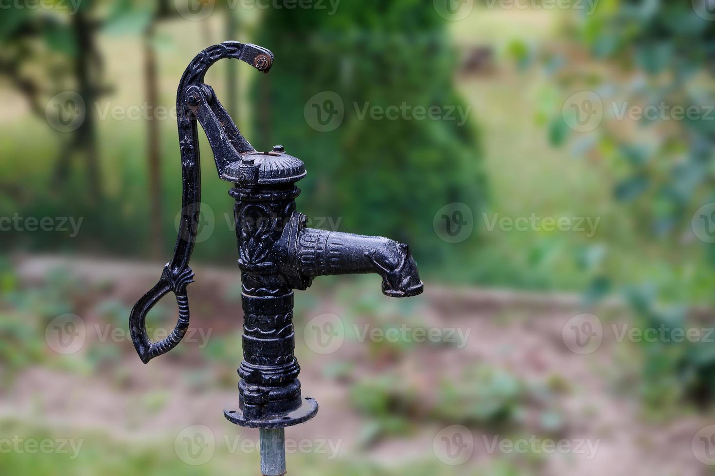 antiguo Clásico retro negro bomba bien en el jardín en verde antecedentes foto