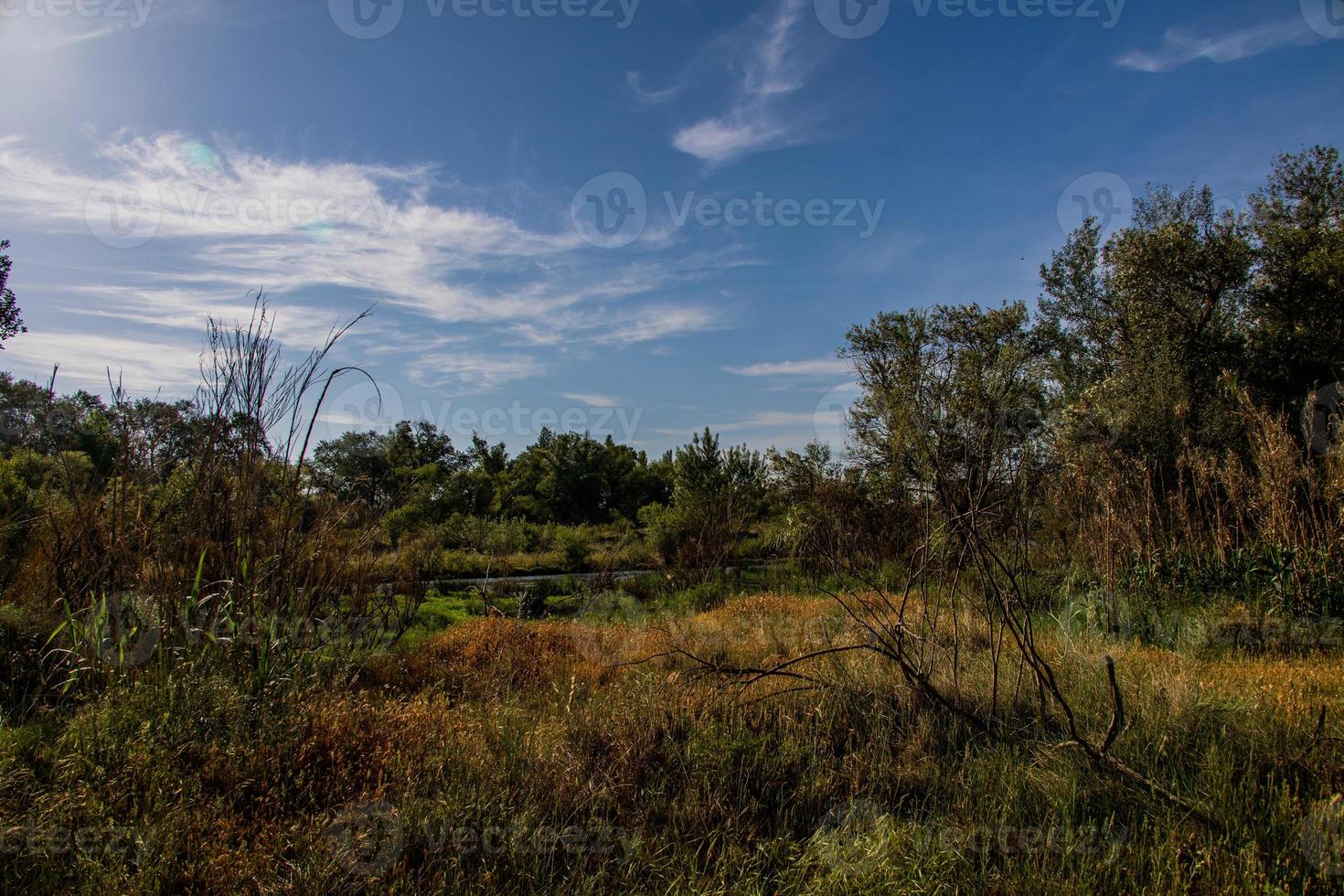 spanish landscape by the Gallego river in Aragon on a warm summer sun day with green trees and blue skies photo