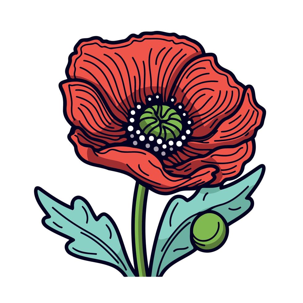 One red poppy flower vector