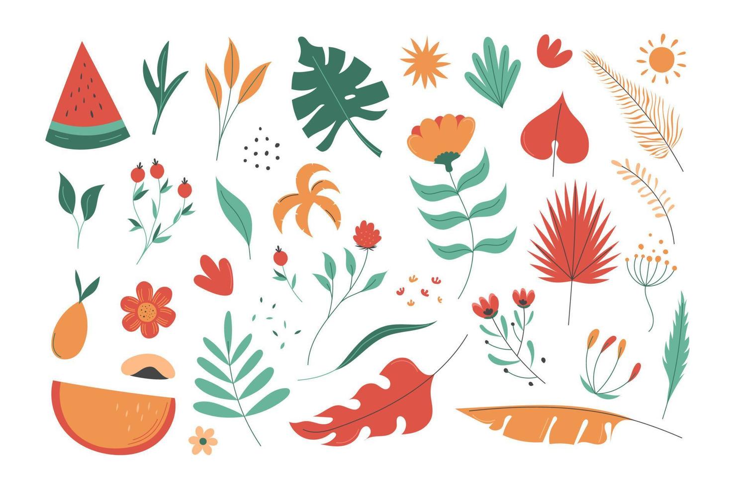 Hand drawn flower collection. sesasonal summer and spring botanical flat vector illustration. leaves and branches flat style element