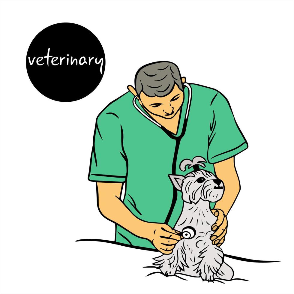 male veterinarian listens to dog's breathing with stethoscope. Yorkshire terrier puppy sitting while being examined by veterinarian. dog is being examined, health check in veterinary clinic. vector