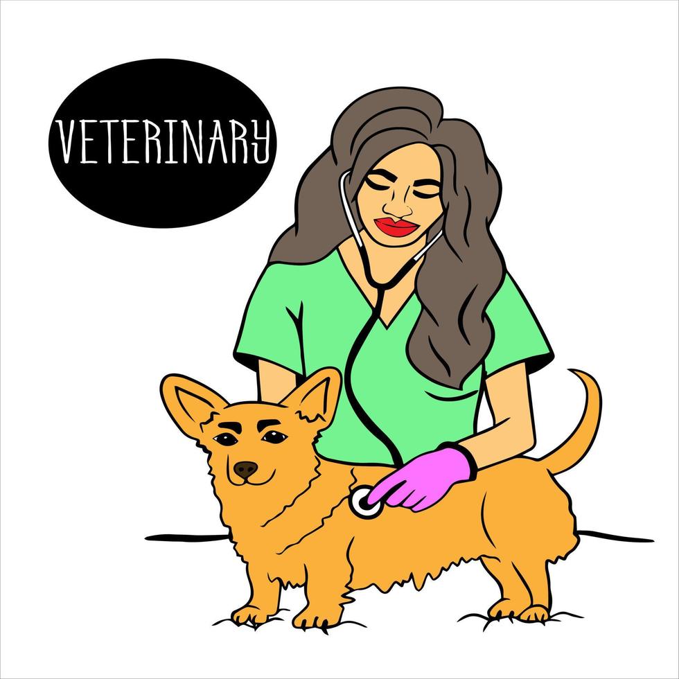 hembra veterinario escucha a perros respiración con estetoscopio. veterinario día. jengibre perro se sienta mientras siendo examinado por veterinario. perro es siendo examinado, salud cheque en el veterinario clínica. vector